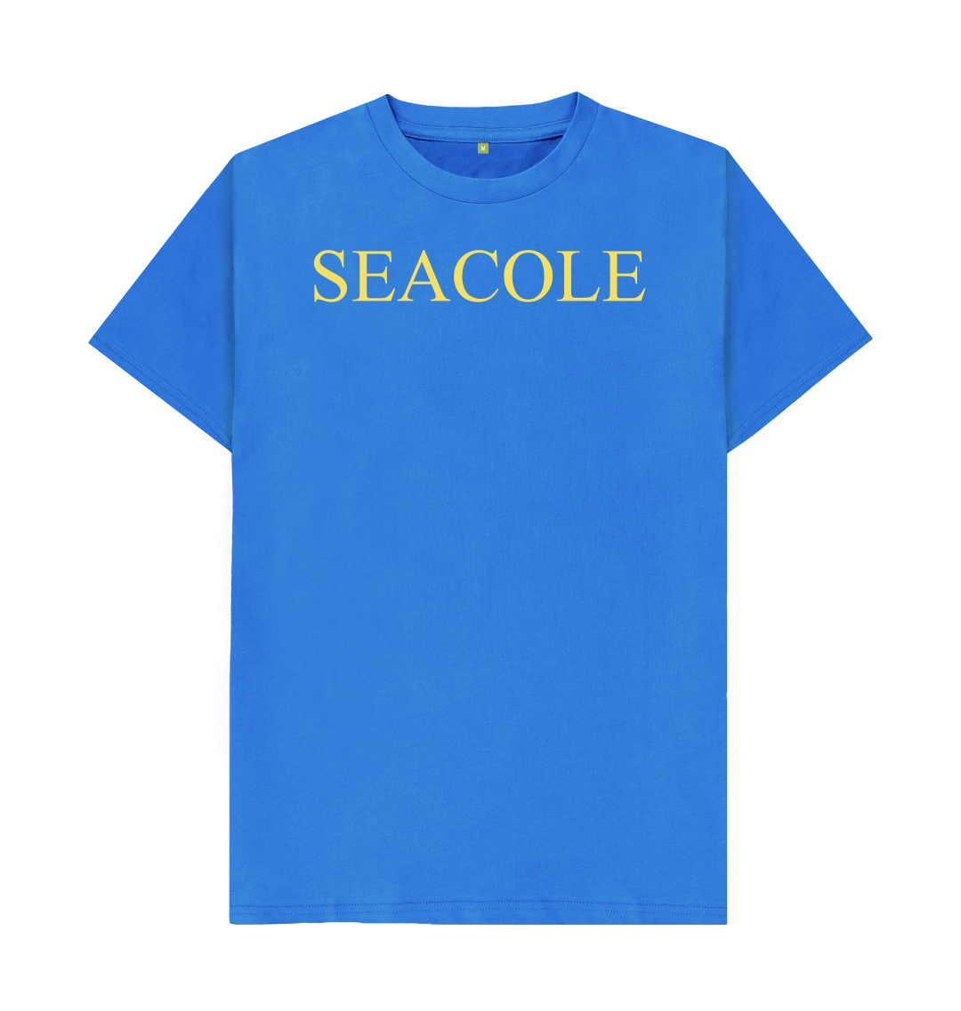 Bright blue printed t shirt front