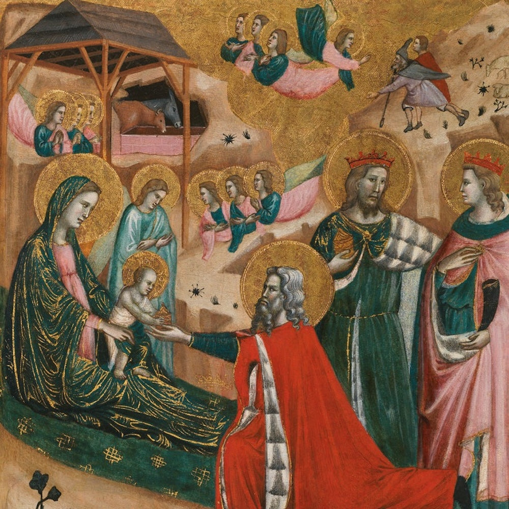 Tcx243_1_870x1131_70127a4d 76b4 403c 8a83 8bfed6199439