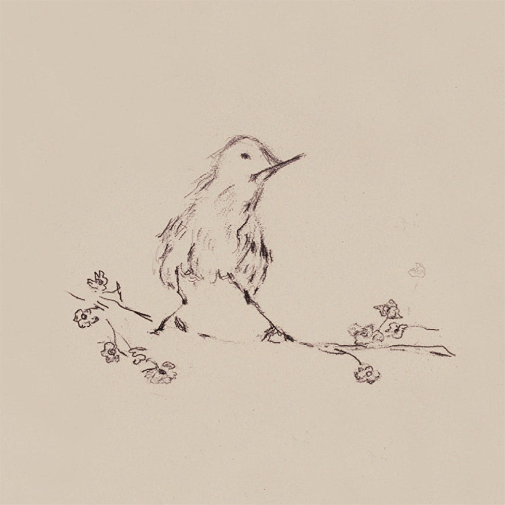 Birdandsquirrel bird_2e82b5ed 6fe6 44b3 9750 a097d2aaa72c