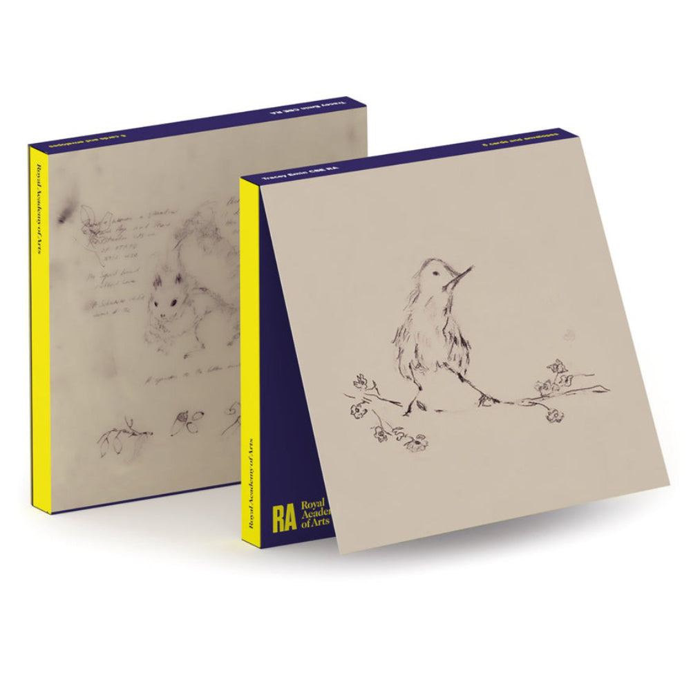 Birdandsquirrel_d139cde9 e610 451e bc71 6ab0b10a427d