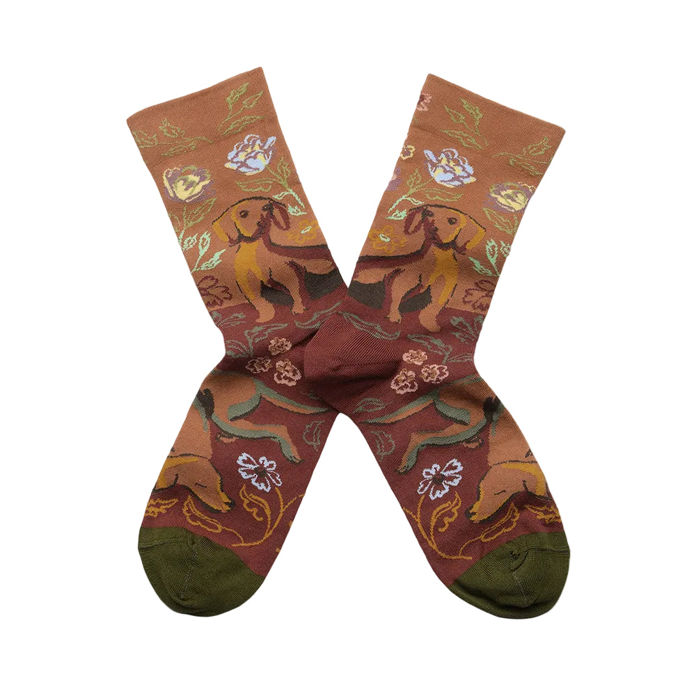 Dachshund socks