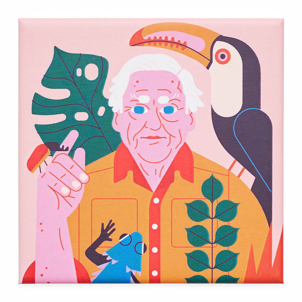 David attenborough owen davey magnet