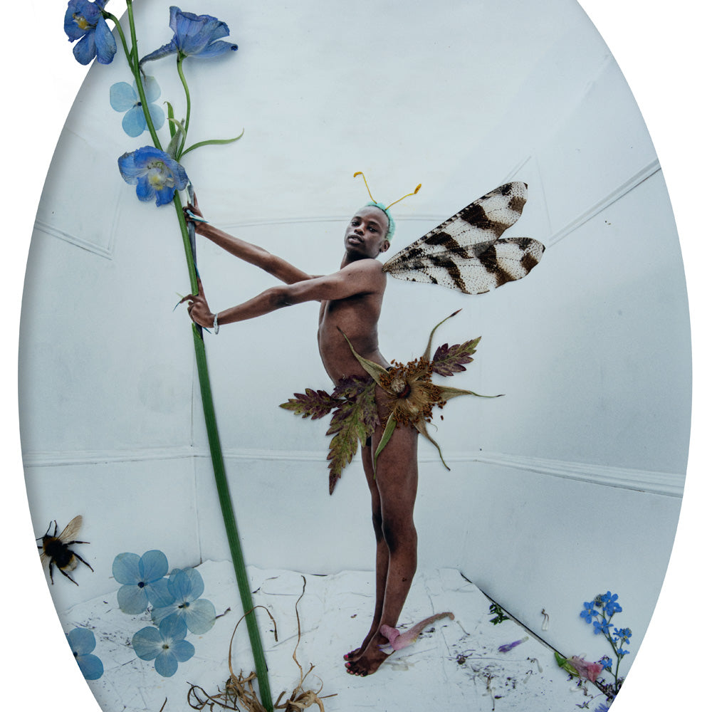 Harry keita tim walkers fairyland a2 poster detail