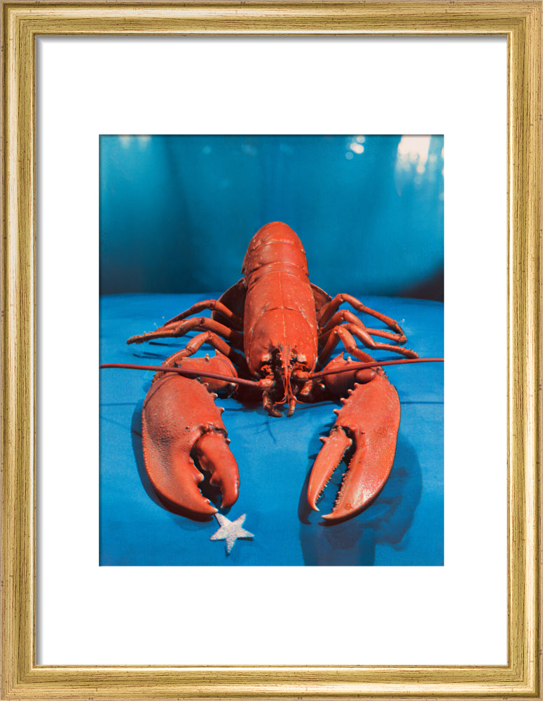 Si 1051543_ihcm 27.52_iwcm 22.00_fls 880242l.tif_fts 880242t.tif_mc ffffff_fwcm 2.30_tmwcm 6.24_bmwcm 6.24_lmwcm 4.00_rmwcm 4.00_maxdim 1000_en_external___iar 1