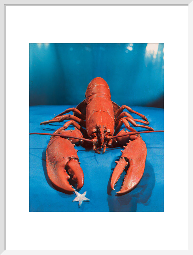 Si 1051543_ihcm 55.05_iwcm 44.00_fls 880231l.tif_fts 880231t.tif_mc ffffff_fwcm 1.50_tmwcm 12.48_bmwcm 12.48_lmwcm 8.00_rmwcm 8.00_maxdim 1000_en_external___iar 1