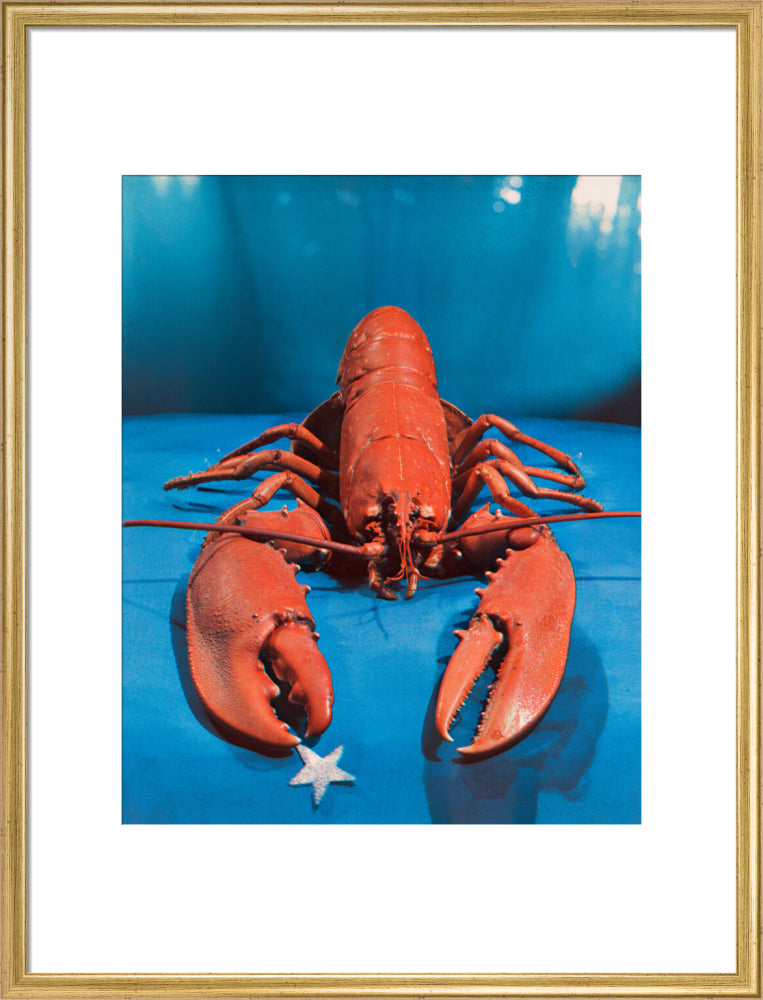 Si 1051543_ihcm 55.05_iwcm 44.00_fls 880242l.tif_fts 880242t.tif_mc ffffff_fwcm 2.30_tmwcm 12.48_bmwcm 12.48_lmwcm 8.00_rmwcm 8.00_maxdim 1000_en_external___iar 1