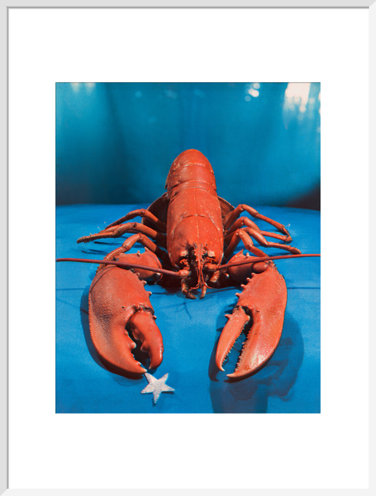 Si 1051543_ihcm 68.81_iwcm 55.00_fls 880231l.tif_fts 880231t.tif_mc ffffff_fwcm 1.50_tmwcm 15.59_bmwcm 15.59_lmwcm 10.00_rmwcm 10.00_maxdim 1000_en_external___iar 1