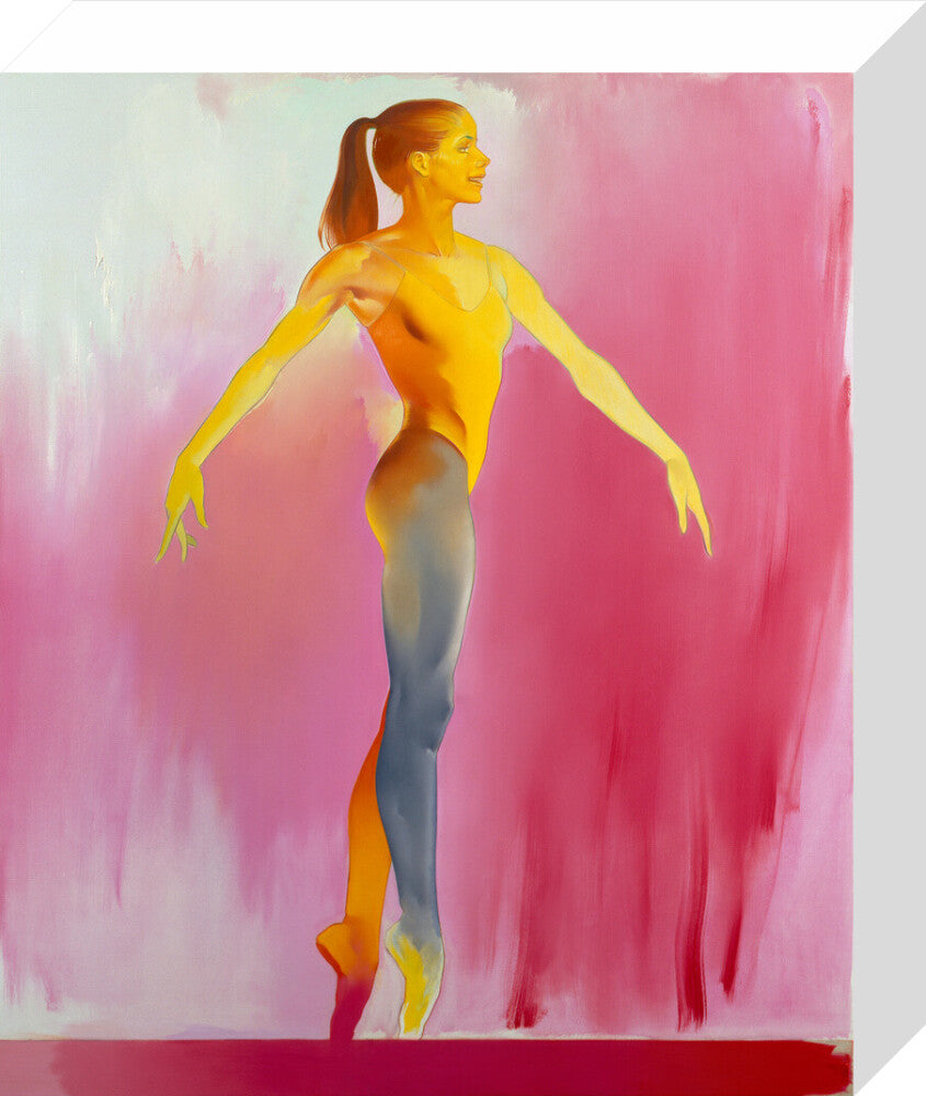 Darcey bussell portrait print (stretched canvas, small, no frame frame)