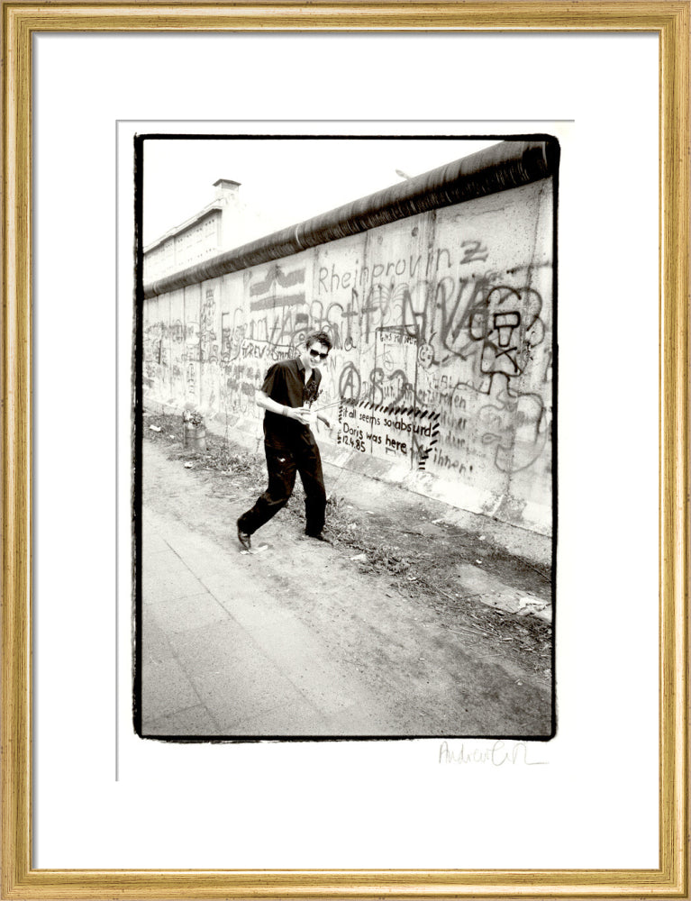 Shane macgowan portrait print (art print, medium, gold frame)