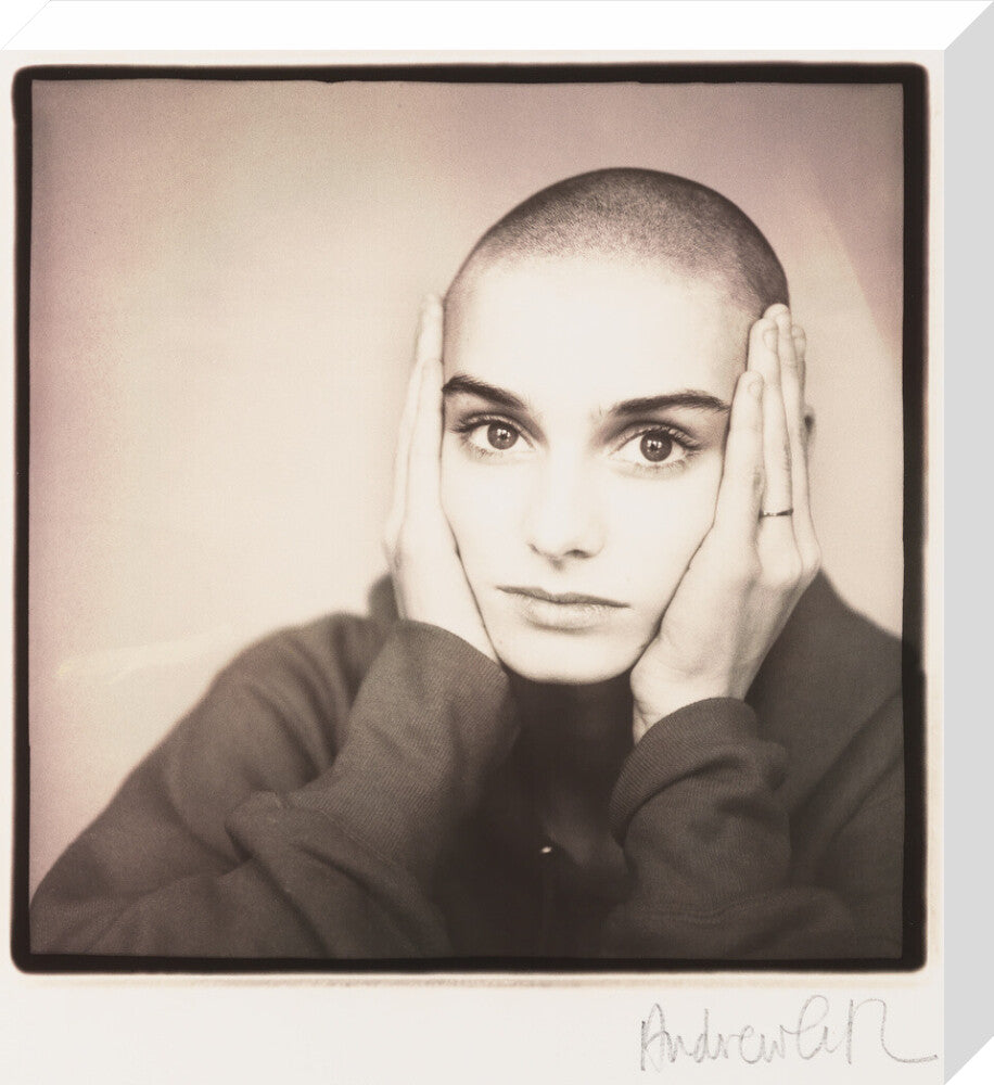 Si 1051552_ihcm 60_maxdim 1000_style 3_fdcm 5