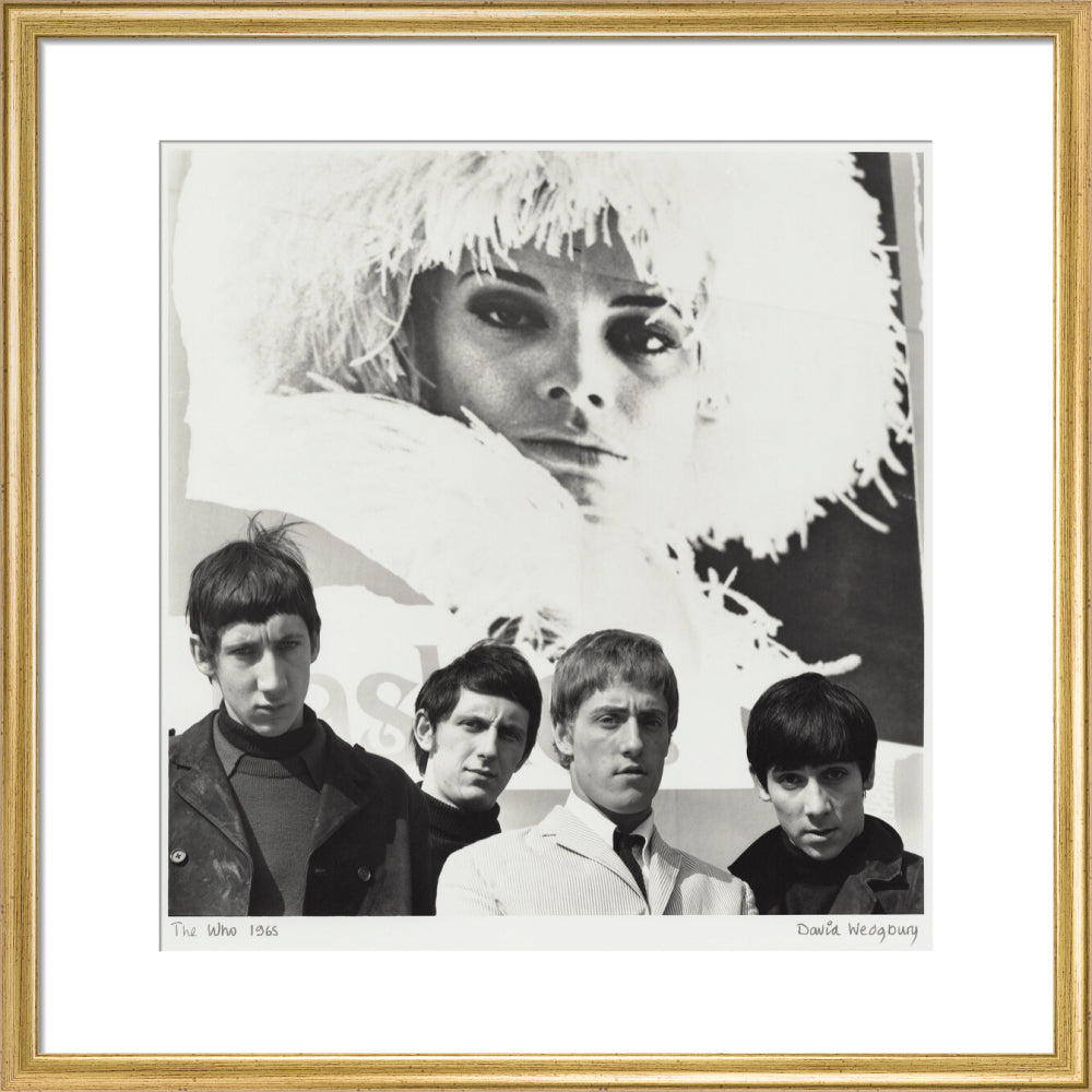 The who (pete townshend; john entwistle; roger daltrey; keith moon) portrait print (art print, medium, gold frame)