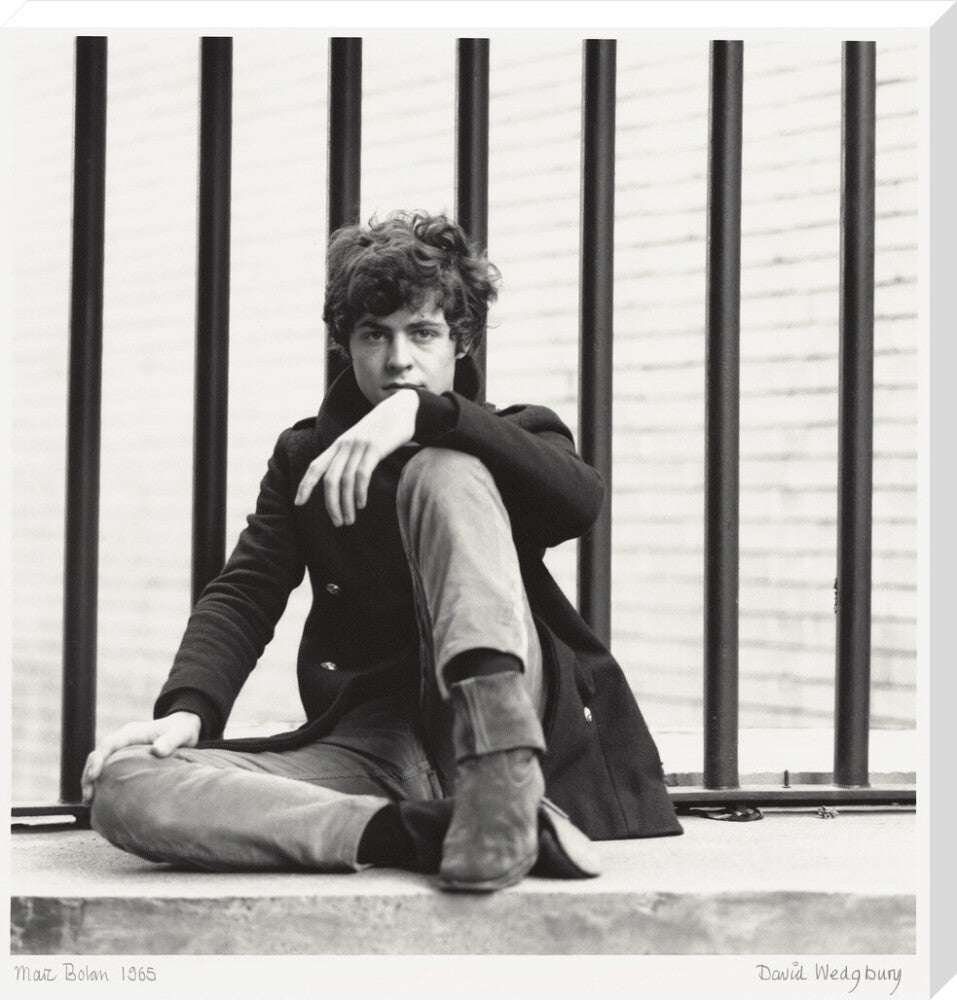 Marc bolan portrait print (stretched canvas, extra large, no frame)
