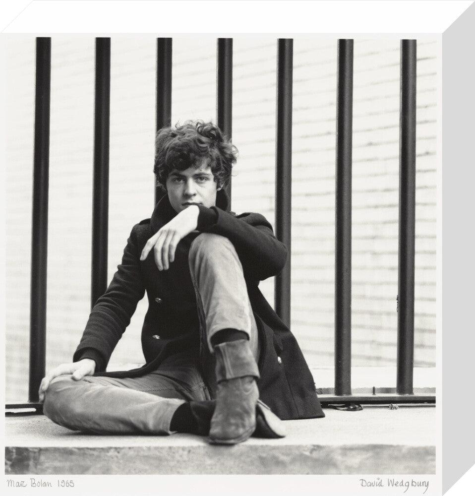 Marc bolan portrait print (stretched canvas, small, no frame)