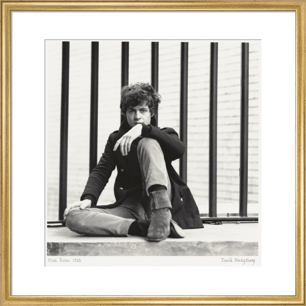 Marc bolan portrait print (art print, medium, gold frame)