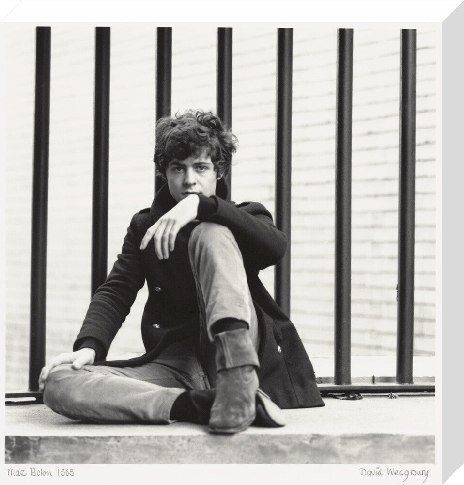 Marc bolan portrait print (stretched canvas, medium, no frame)