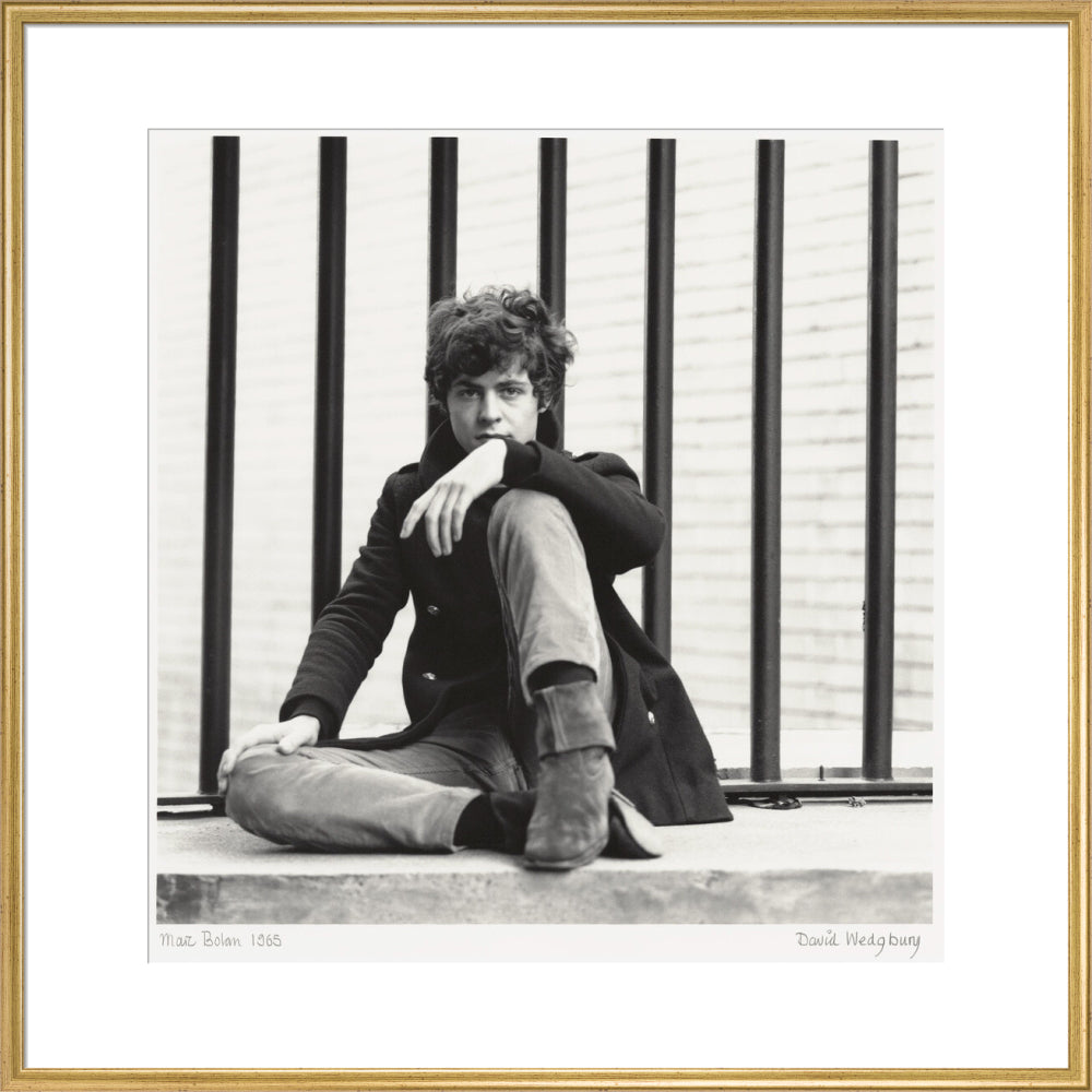 Marc bolan portrait print (art print, extra large, gold frame)