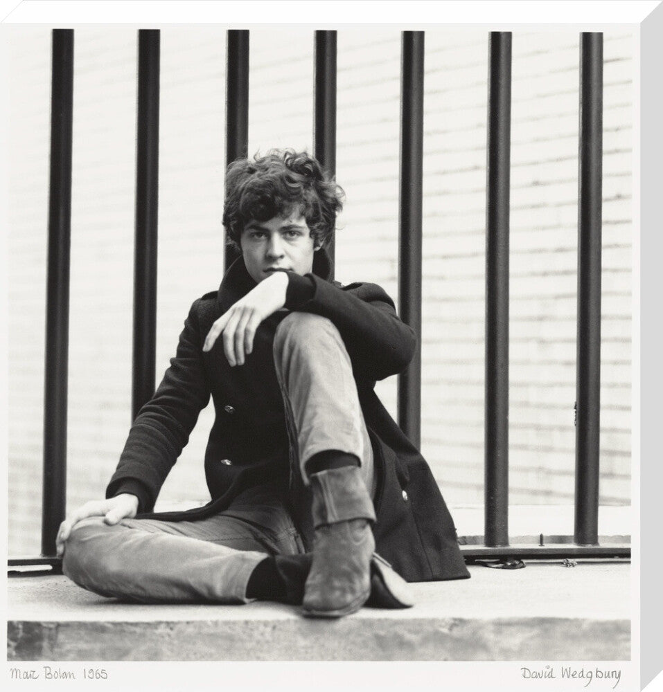 Marc bolan portrait print (stretched canvas, large, no frame)