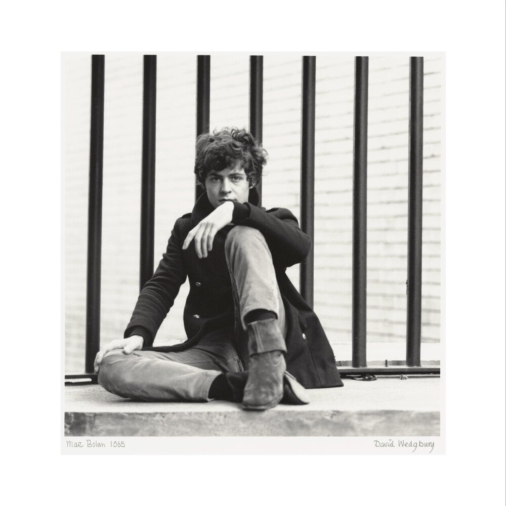 Marc bolan portrait print (art print, medium, no frame)