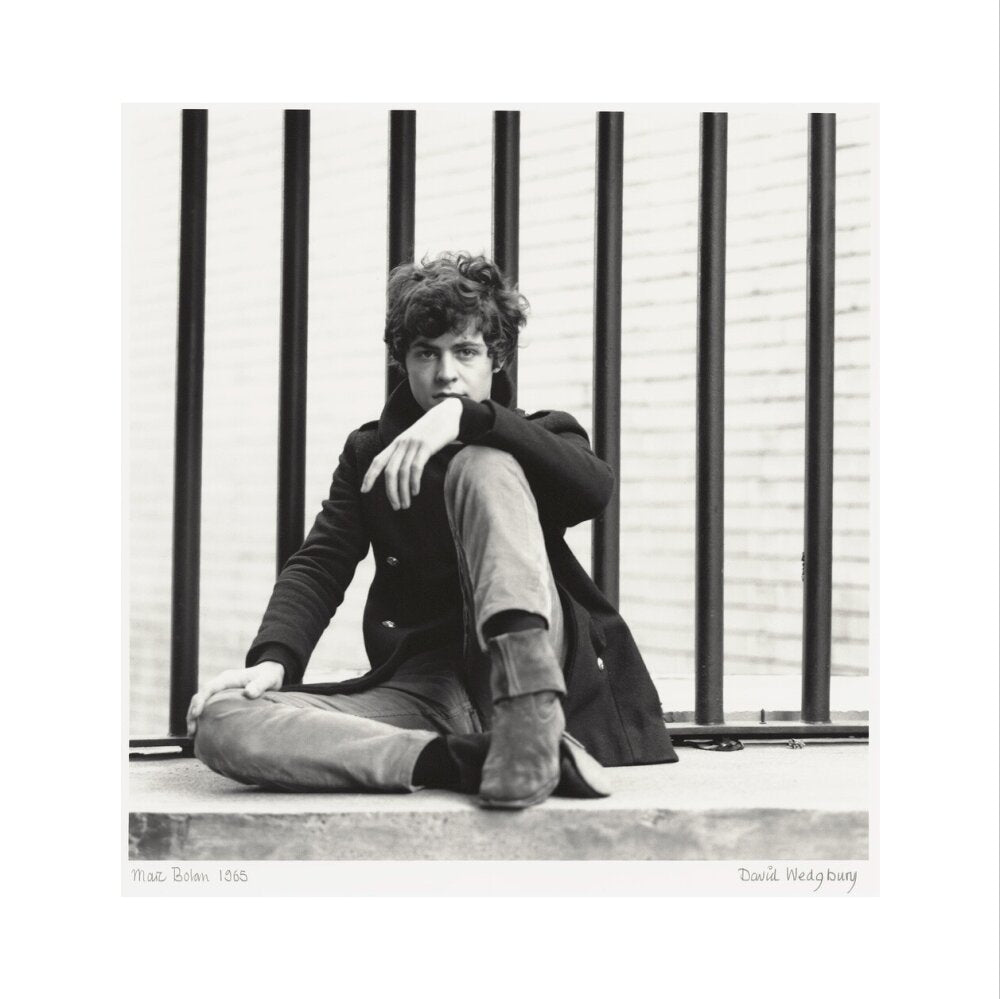 Marc bolan portrait print (art print, large, no frame)