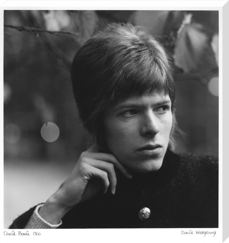 David bowie portrait print (stretched canvas, extra large, no frame frame)