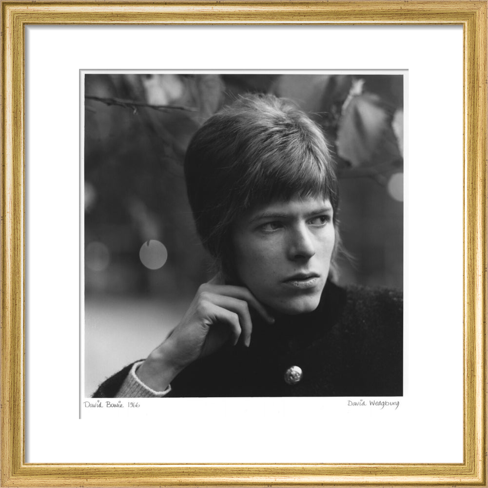 David bowie portrait print (art print, small, gold frame frame)