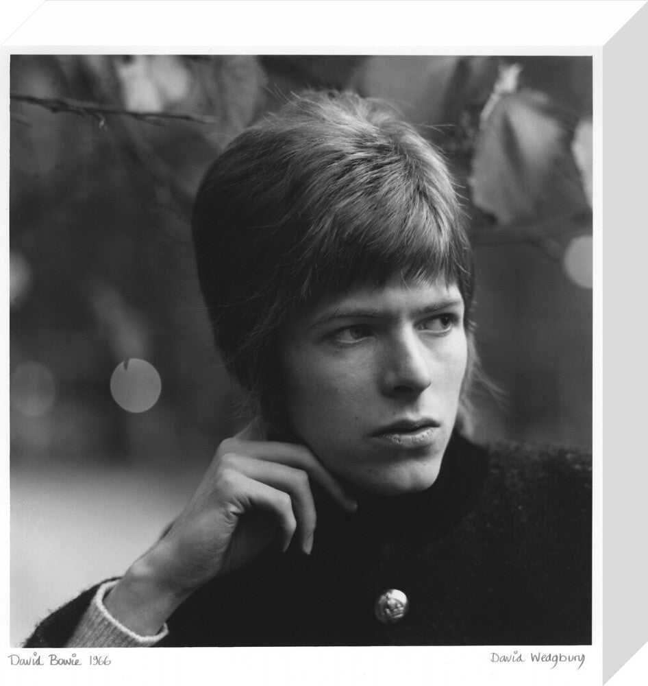 David bowie portrait print (stretched canvas, small, no frame frame)