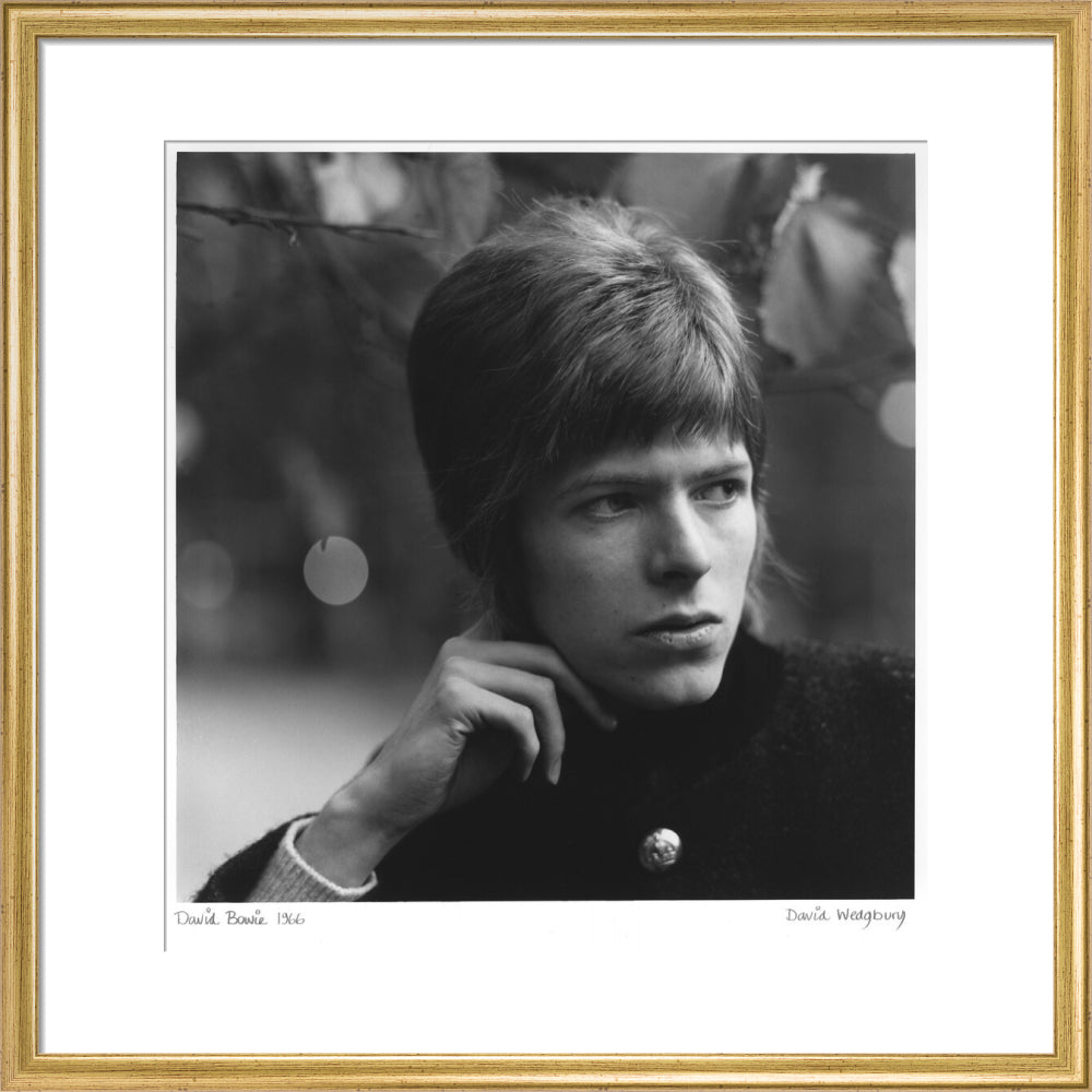 David bowie portrait print (art print, medium, gold frame frame)