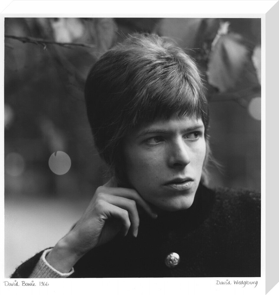 David bowie portrait print (stretched canvas, medium, no frame frame)