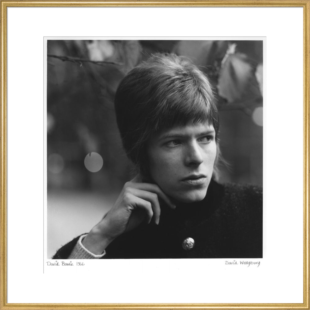 David bowie portrait print (art print, extra large, gold frame frame)