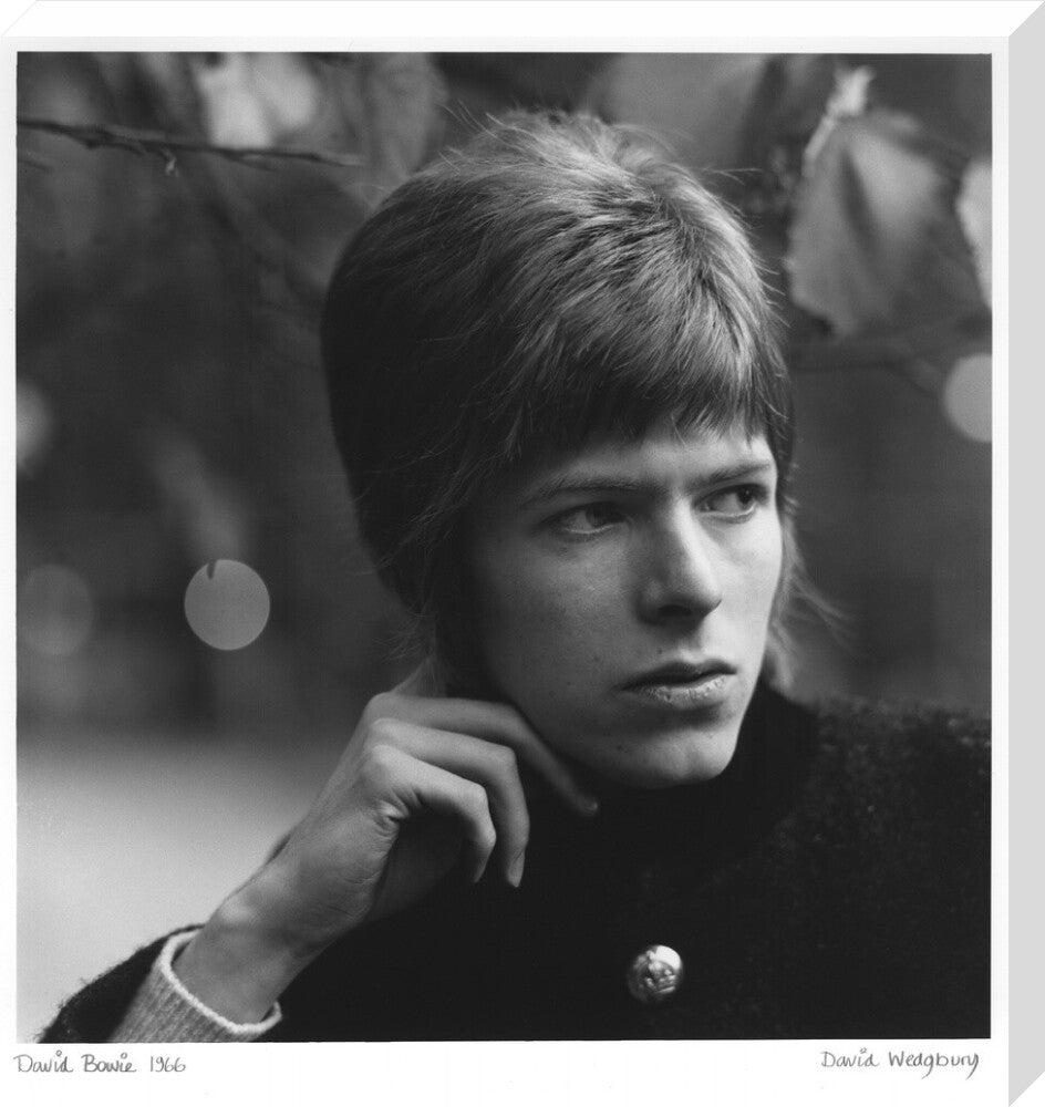 David bowie portrait print (stretched canvas, large, no frame frame)