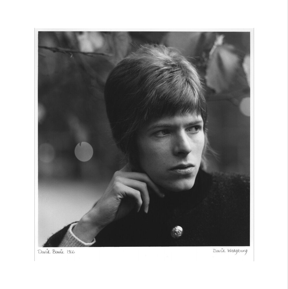 David bowie portrait print (art print, extra large, no frame frame)