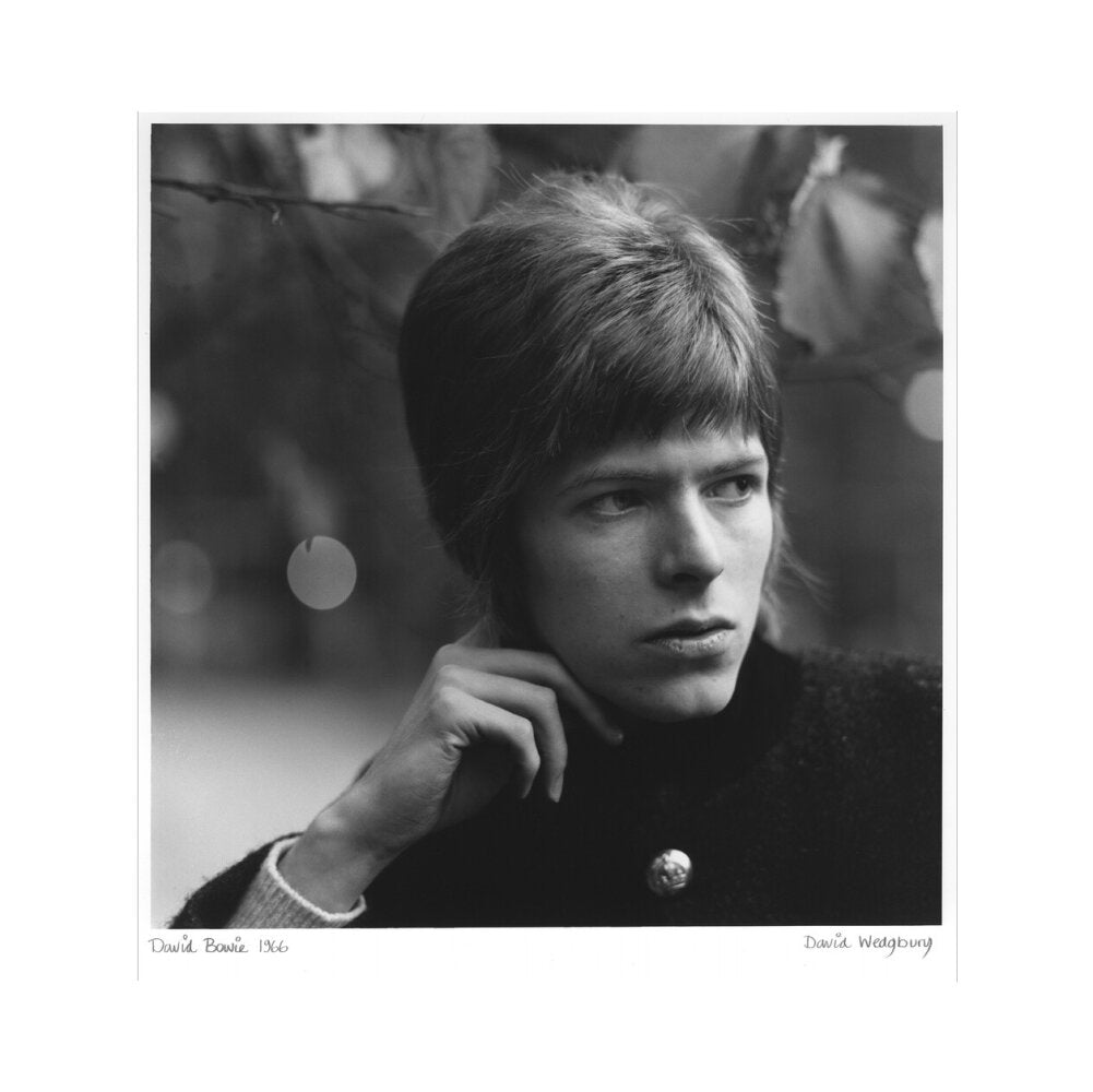 David bowie portrait print (art print, large, no frame frame)