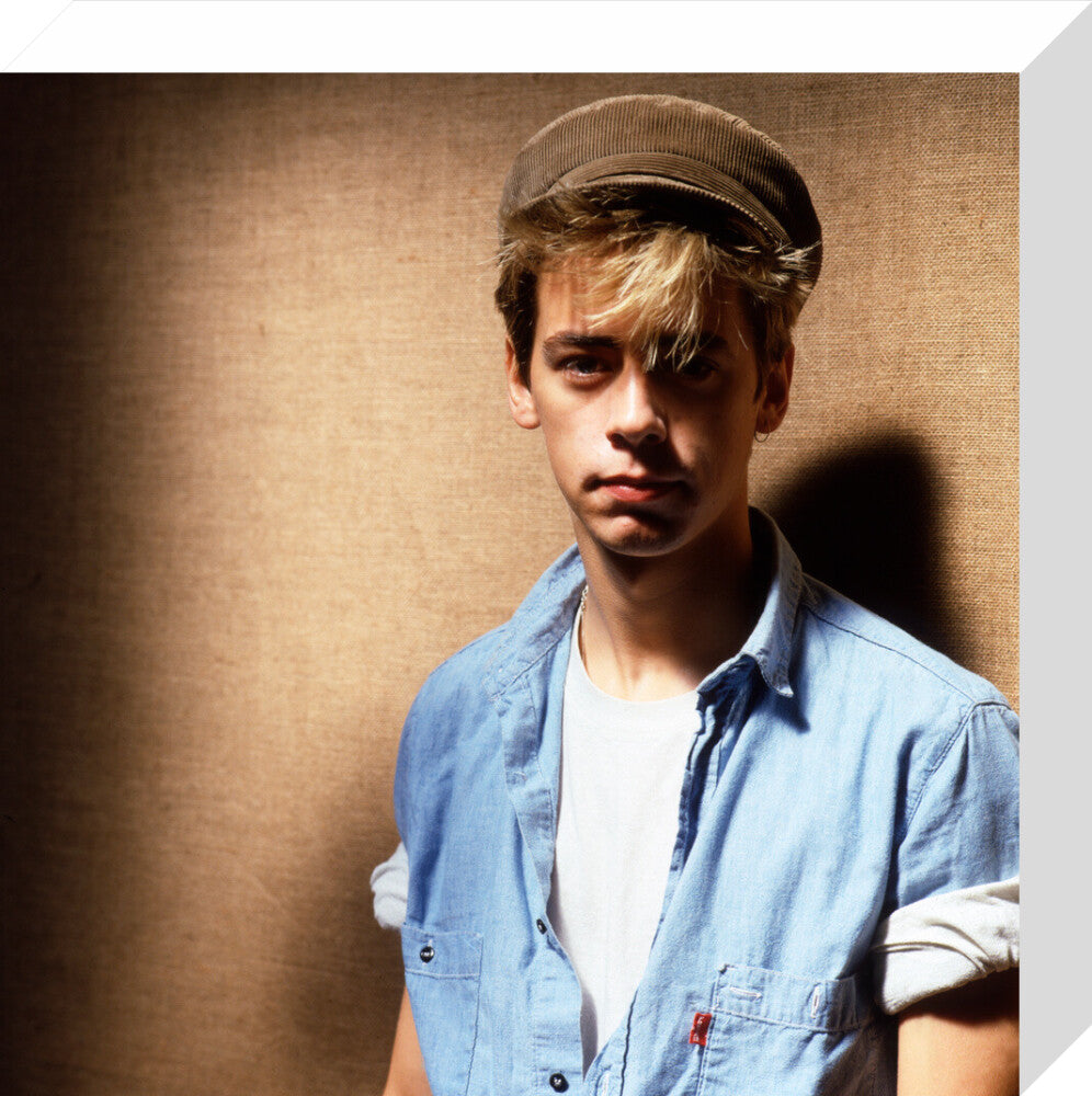 Nick heyward portrait print (stretched canvas, small, no frame)