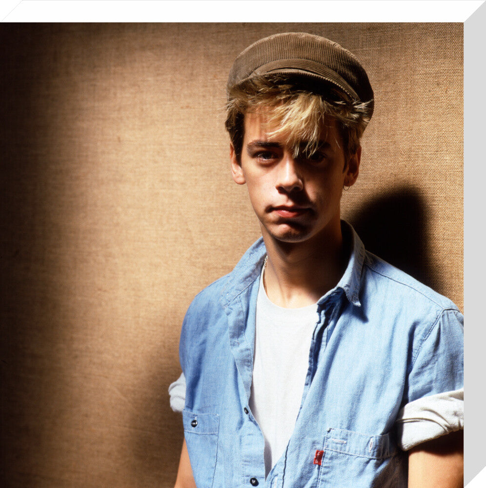 Nick heyward portrait print (stretched canvas, medium, no frame)