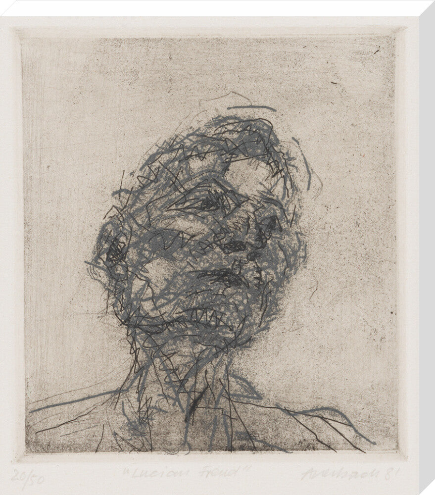 Si 1051619_ihcm 80_maxdim 1000_style 3_fdcm 5