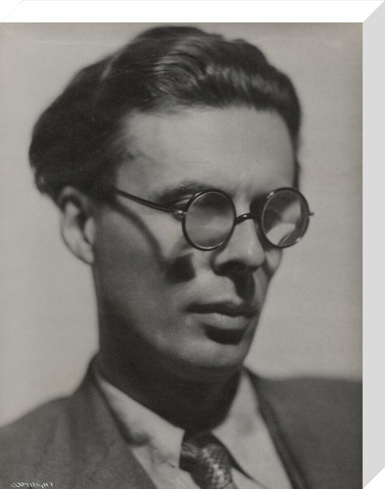 Aldous huxley portrait print (stretched canvas, medium, no frame frame)