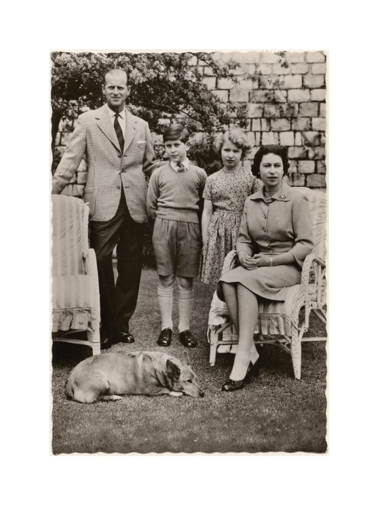 H.m. the queen with her family in windsor castle gardens' (prince philip, duke of edinburgh; king charles iii; princess anne; queen elizabeth ii) portrait print (art print, extra large, no frame)