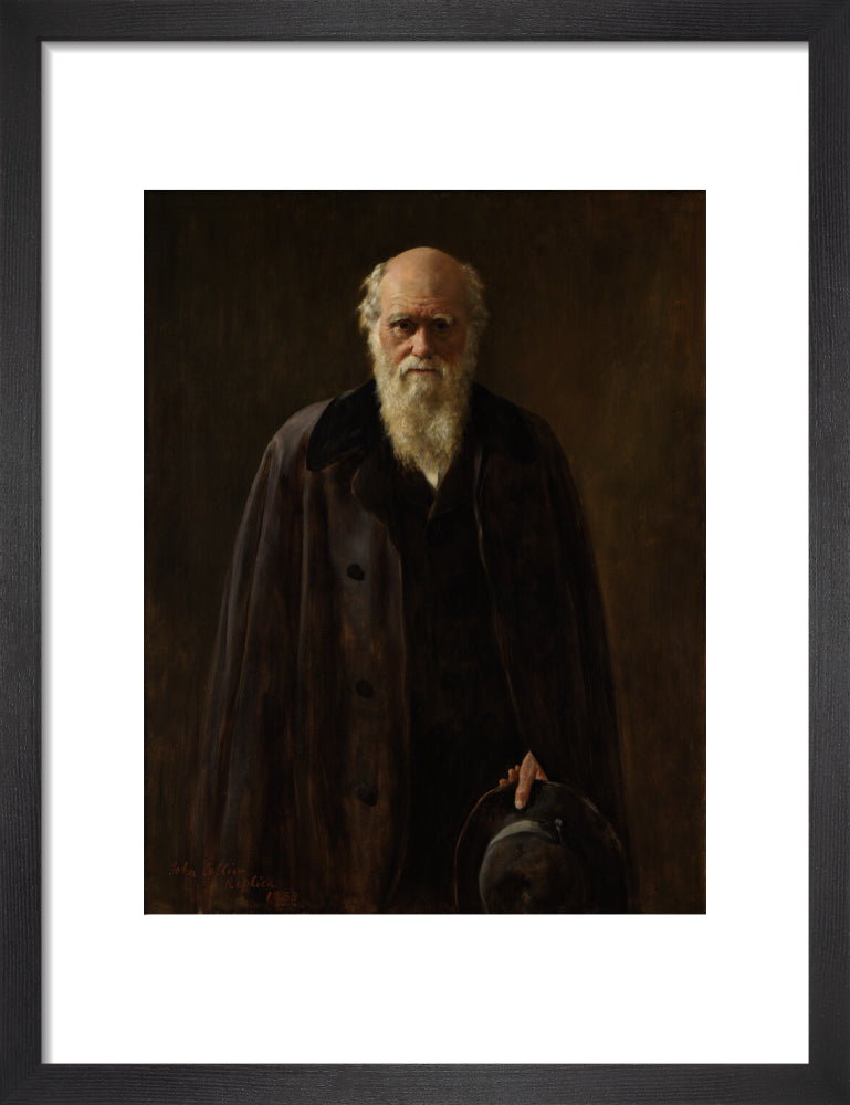 Charles darwin portrait print (art print, small, black frame frame)