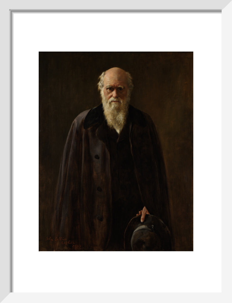 Charles darwin portrait print (art print, small, white frame frame)