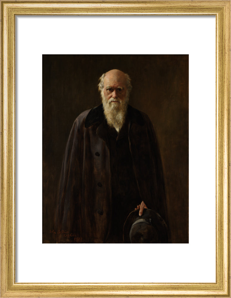 Charles darwin portrait print (art print, small, gold frame frame)