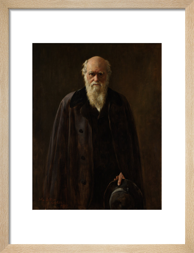 Charles darwin portrait print (art print, small, natural frame frame)