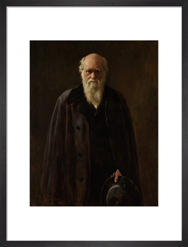 Charles darwin portrait print (art print, medium, black frame frame)