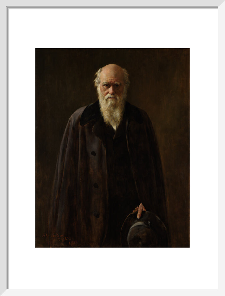 Charles darwin portrait print (art print, medium, white frame frame)