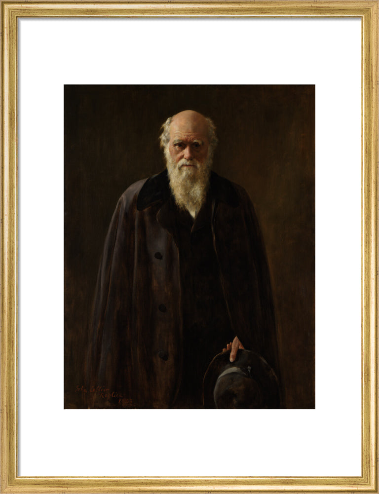 Charles darwin portrait print (art print, medium, gold frame frame)