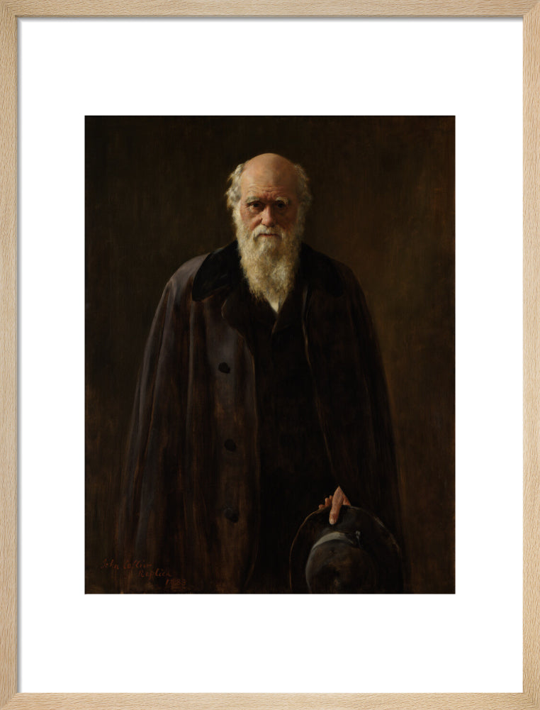 Charles darwin portrait print (art print, medium, natural frame frame)