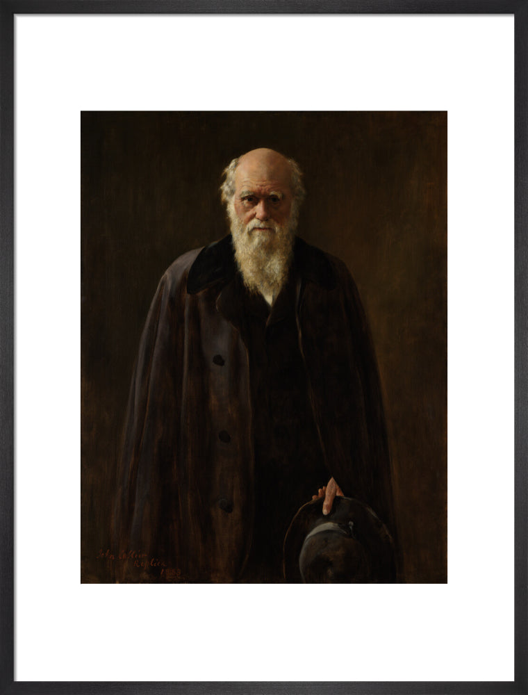 Charles darwin portrait print (art print, large, black frame frame)