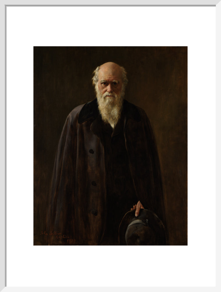 Charles darwin portrait print (art print, large, white frame frame)