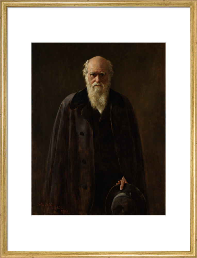 Charles darwin portrait print (art print, large, gold frame frame)