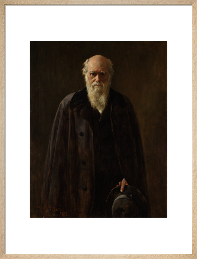 Charles darwin portrait print (art print, large, natural frame frame)