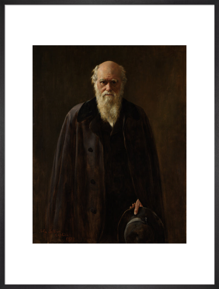 Charles darwin portrait print (art print, extra large, black frame frame)